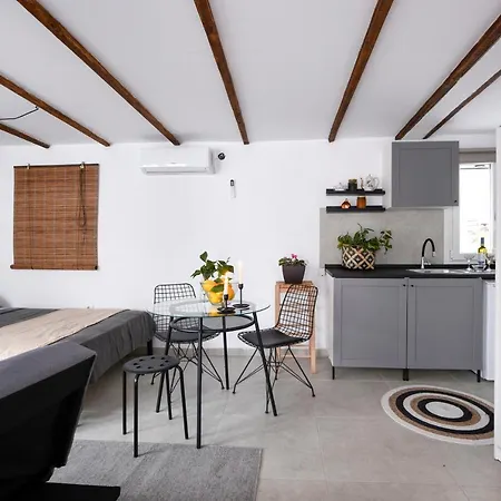 Sofia Studio With Garden Apartment