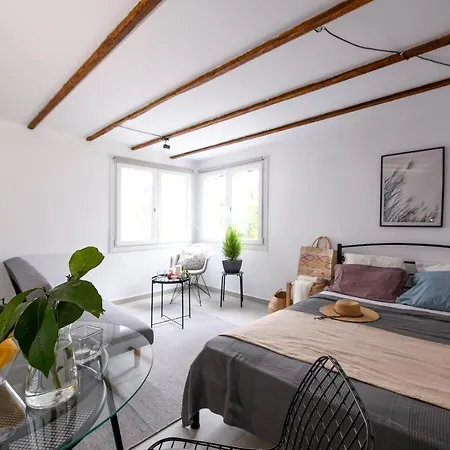 Sofia Studio With Garden *