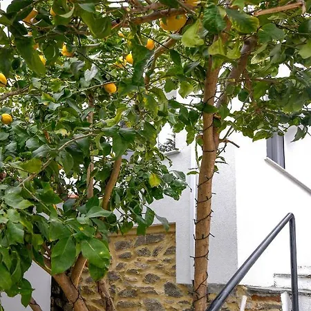 Sofia Studio With Garden Apartment Kavala