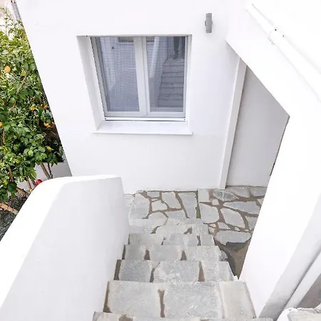 Sofia Studio With Garden *